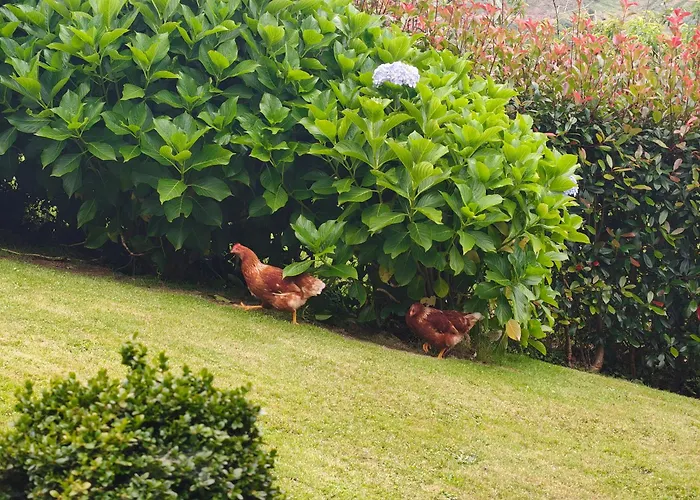 Holiday home La Casa De Atras *