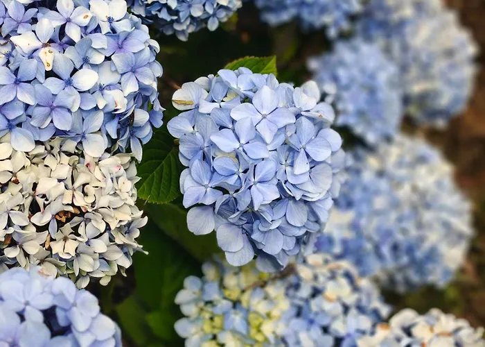 Holiday home La Casa De Atras Arancedo