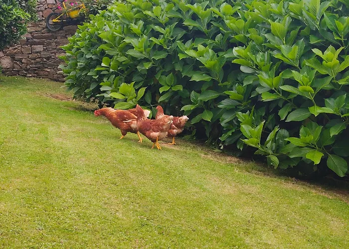 Holiday home La Casa De Atras Arancedo