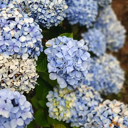 펜션 La Casa De Atras Arancedo