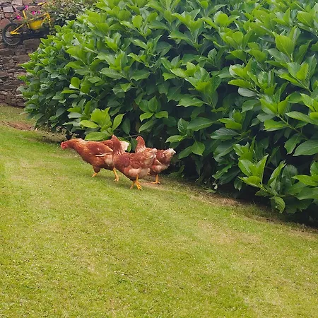 Сasa de vacaciones La Casa De Atrás Arancedo