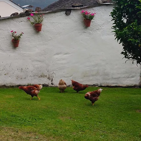 펜션 La Casa De Atras